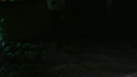 Snapshot of dixhexus chatting on 02-14-25, 02:50 Chris Williams online show from 02-14-25, 02:50