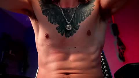 Snapshot of dl_raven chatting on 02-19-25, 06:33 Silverhand online show from 02-19-25, 06:33