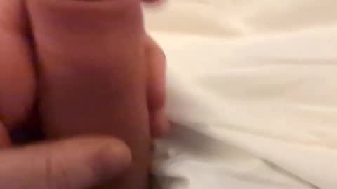 Bigslick online show from 02-02-26, 11:03