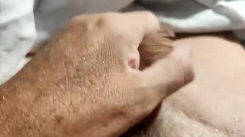 Snapshot of dockydick chatting on 10-14-25, 12:00 dockydick online show from 10-14-25, 12:00