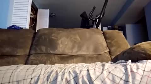 Snapshot of dogbone999081 chatting on 12-03-25, 08:45 dogbone999081 online show from 12-03-25, 08:45