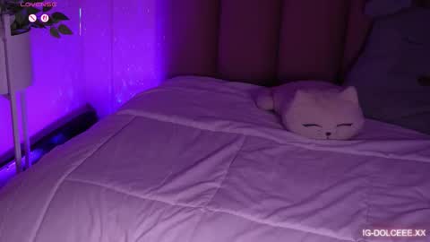 Snapshot of dolcexx chatting on 01-13-26, 08:03 Dolcexx online show from 01-13-26, 08:03