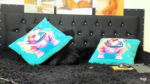 Snapshot of doll_celeste19 chatting on 12-22-24, 04:06 C E L E S T E online show from 12-22-24, 04:06