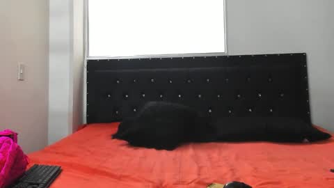 Snapshot of doll_celeste19 chatting on 10-08-25, 07:11 C E L E S T E online show from 10-08-25, 07:11