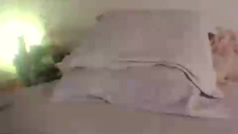 doll_dollys_ online show from 06-30-26, 05:14