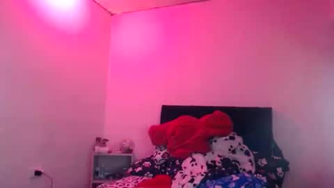 Snapshot of doll_sary chatting on 12-28-24, 04:52 Catherine XXX online show from 12-28-24, 04:52