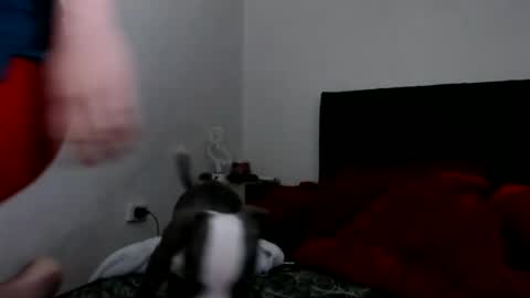 Snapshot of doll_sary chatting on 02-08-25, 09:03 Catherine XXX online show from 02-08-25, 09:03