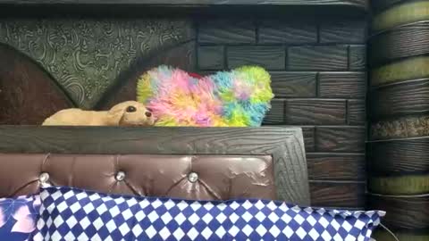 Snapshot of dollmeenu chatting on 11-21-25, 06:45 dollmeenu online show from 11-21-25, 06:45