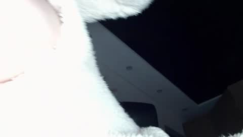 Snapshot of dolly_sun chatting on 12-20-24, 11:54 ILONA online show from 12-20-24, 11:54