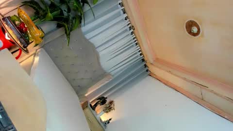 CALL ME BABY BELLA online show from 09-21-25, 06:31