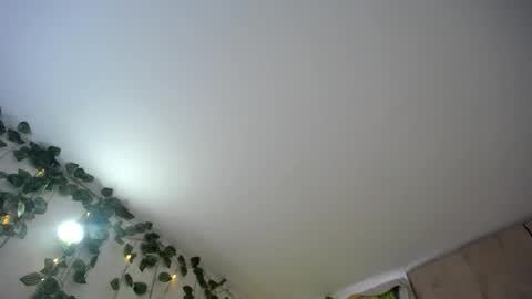 dominic_sofia online show from 06-18-26, 12:09