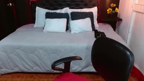  D O M I N K  online show from 02-24-25, 03:23