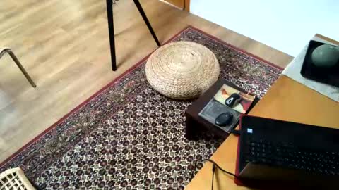 Snapshot of donizetti2017 chatting on 02-02-25, 02:24 Alfredo online show from 02-02-25, 02:24