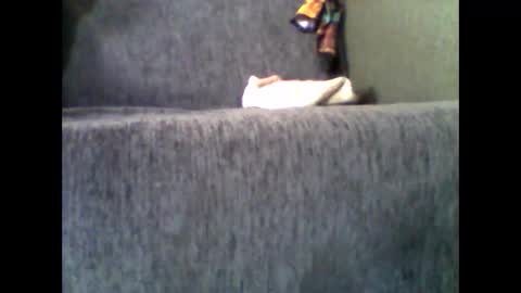 Snapshot of donizetti2017 chatting on 11-10-25, 07:51 Alfredo online show from 11-10-25, 07:51