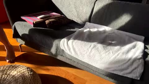 Snapshot of donizetti2017 chatting on 12-02-25, 11:59 Alfredo online show from 12-02-25, 11:59