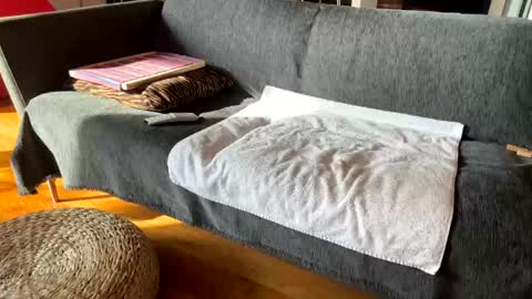 Snapshot of donizetti2017 chatting on 12-03-25, 11:19 Alfredo online show from 12-03-25, 11:19