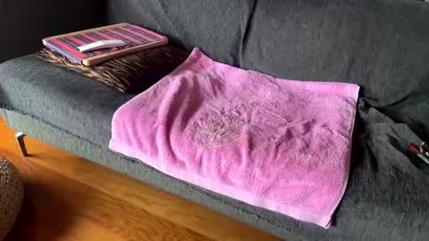 Snapshot of donizetti2017 chatting on 02-13-26, 10:55 Alfredo online show from 02-13-26, 10:55