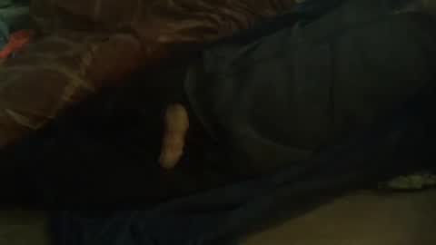 Snapshot of dorsetbiker714 chatting on 02-11-25, 10:04 Hello welcome to Slutsville I am the Naked Chef really but you may call me Peter online show from 02-11-25, 10:04