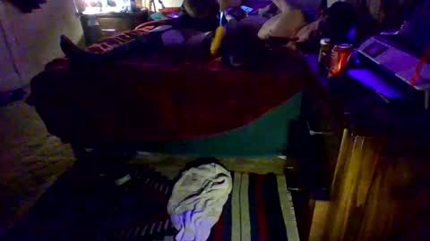 Snapshot of dowhatuwantwithme100 chatting on 02-09-26, 05:00 Driver Dick Kylie Tits online show from 02-09-26, 05:00