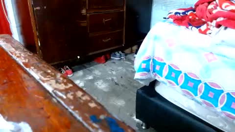 dreamreal online show from 11-10-25, 10:58