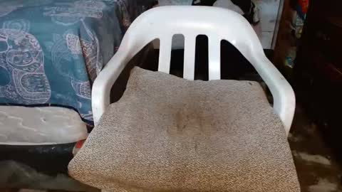 dreamreal online show from 03-20-26, 01:21