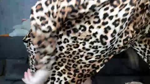 dreamesoul online show from 11-07-25, 11:32