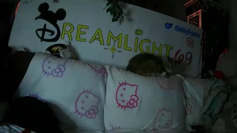 Dreamlight online show from 01-26-25, 07:53