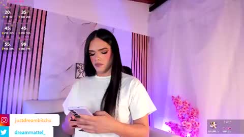 Snapshot of dreammatell_ chatting on 06-24-26, 04:00 Dream Matell online show from 06-24-26, 04:00