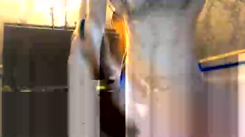 drippydickboy online show from 01-13-26, 06:02