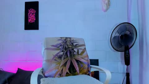 drippyorlove online show from 07-24-26, 01:53