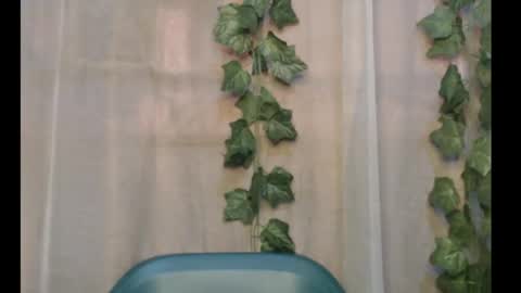 linda online show from 09-29-25, 12:21