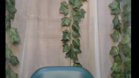 linda online show from 09-30-25, 12:26