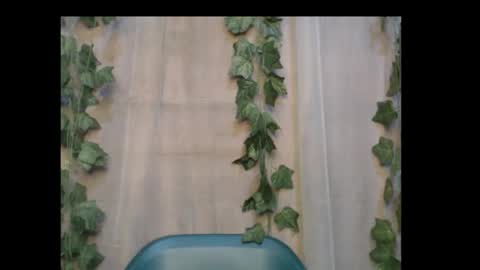 linda online show from 10-14-25, 12:50