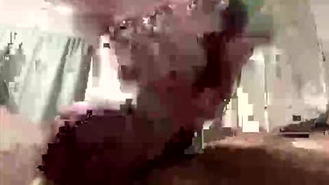 droppingloads82 online show from 03-08-26, 09:13