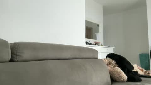 Dr. Resa online show from 10-18-25, 09:54