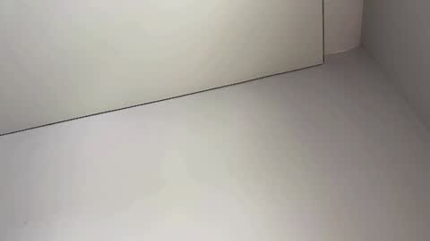 Bella online show from 02-05-25, 03:55