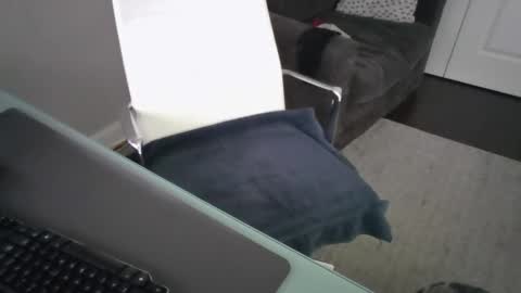 Snapshot of ds689655 chatting on 09-26-25, 08:24 ds689655 online show from 09-26-25, 08:24