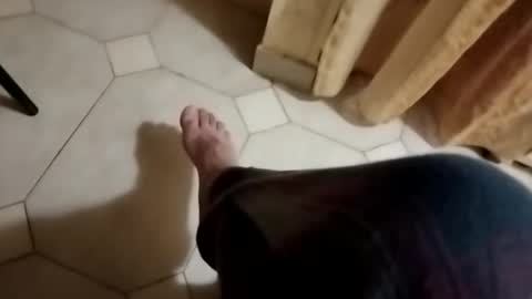 dthedog12 online show from 10-28-25, 03:10