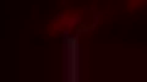duckybwcforyou online show from 05-05-26, 03:58