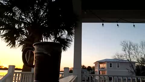 duke_lordly online show from 03-11-25, 11:26