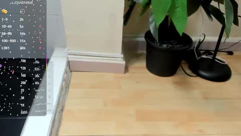 dulce__fiore07 online show from 11-28-25, 11:46