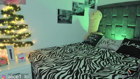 Snapshot of dulce_alice_ chatting on 12-24-24, 10:11  ALICE  online show from 12-24-24, 10:11