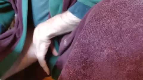 dunany101 online show from 03-04-25, 05:03