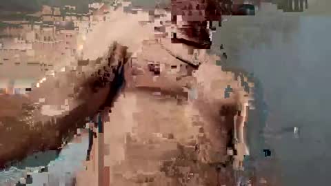 Snapshot of dvsshoes12 chatting on 10-12-25, 11:26 dvsshoes12 online show from 10-12-25, 11:26