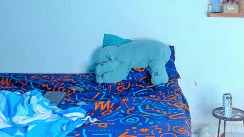 Snapshot of dylan_jake1 chatting on 02-20-26, 06:26 Dylan online show from 02-20-26, 06:26