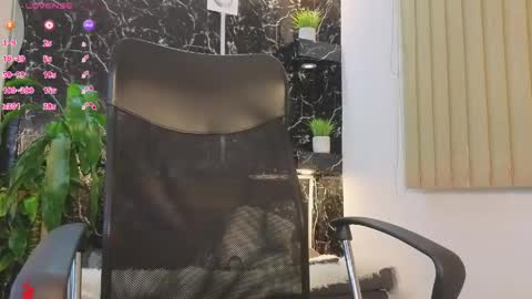 D Y L A N online show from 04-25-26, 03:09