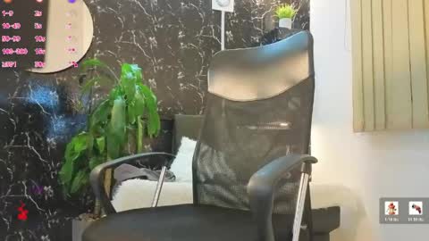 D Y L A N online show from 04-26-26, 03:04