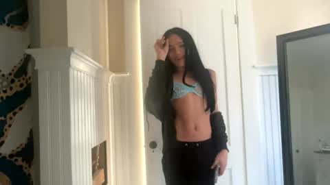 Snapshot of dynasty313 chatting on 11-17-25, 03:51 Dynasty online show from 11-17-25, 03:51