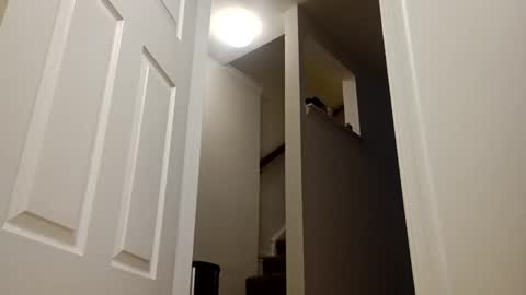 Snapshot of easternjerk chatting on 12-16-25, 11:04 easternjerk online show from 12-16-25, 11:04