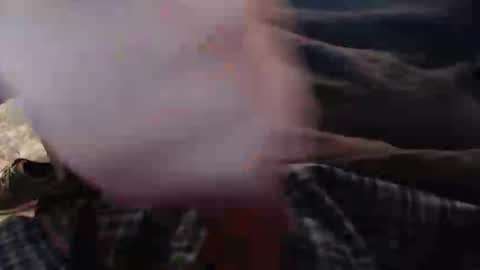 eat_a_peach2 online show from 11-12-25, 11:43